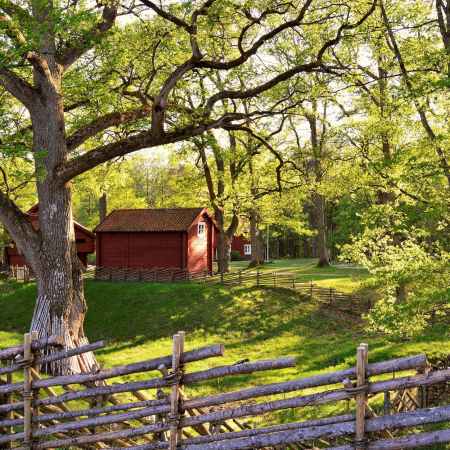 Angeln im traumhaften Schweden